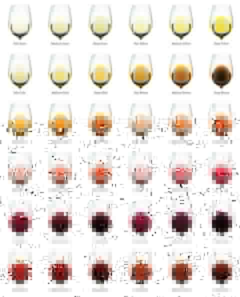 Corkly blind tasting practice color card showing a grid of wine colors